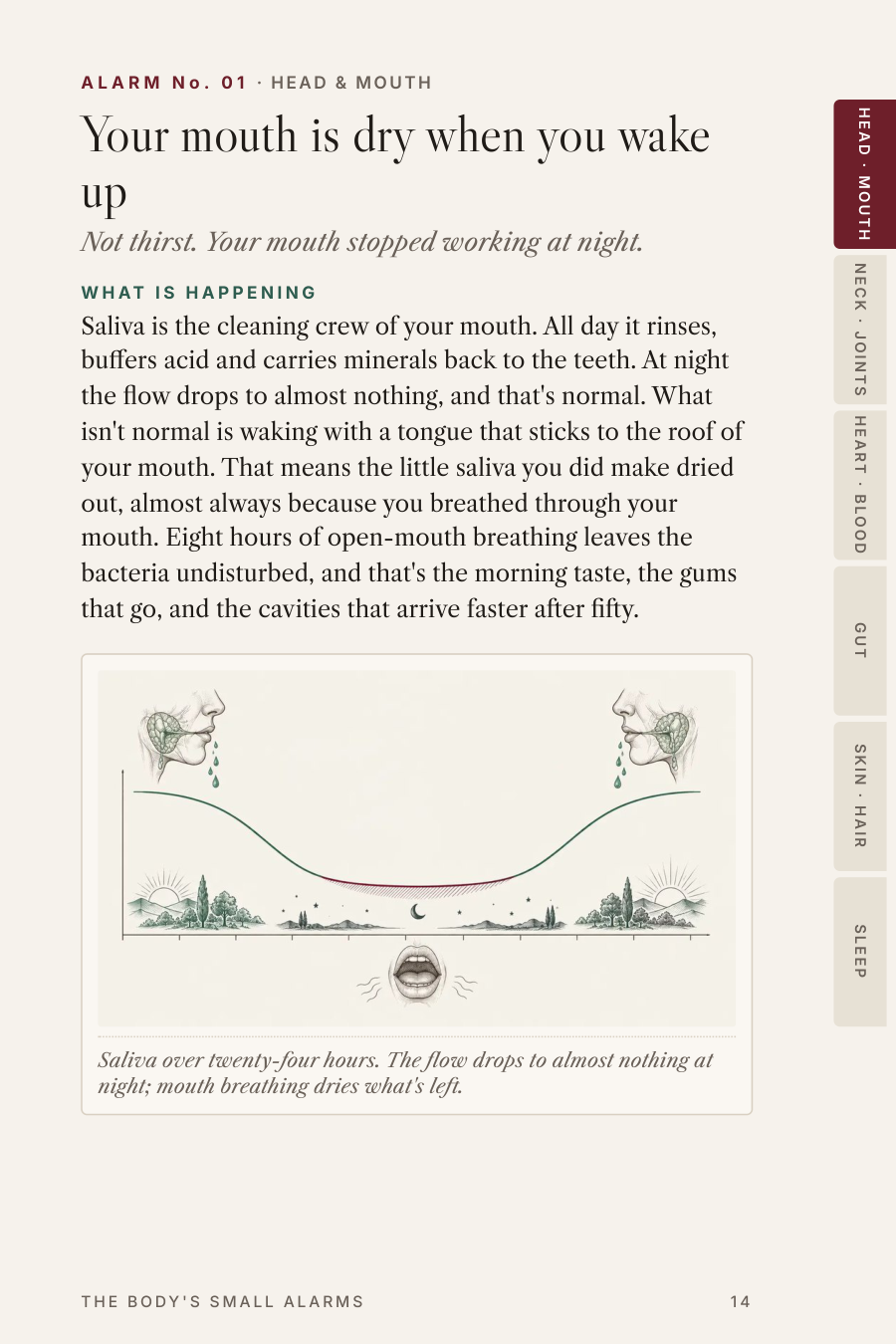 Page 14 of The Body's Small Alarms: Alarm No. 01, Your mouth is dry when you wake up